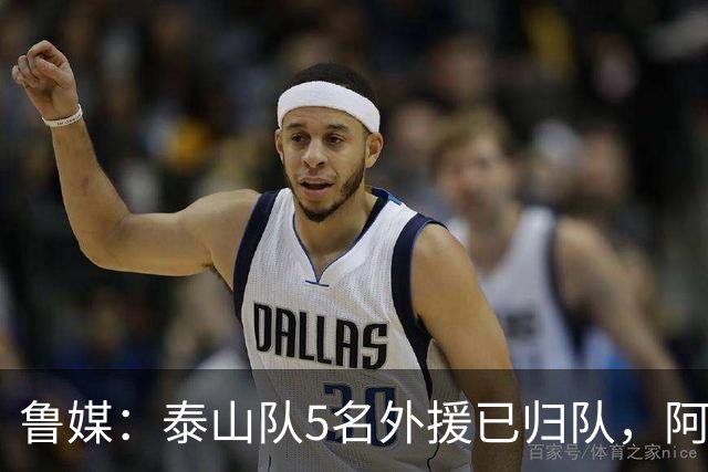 鲁媒：泰山队5名外援已归队，阿尔瓦罗6月份复出难度比较大